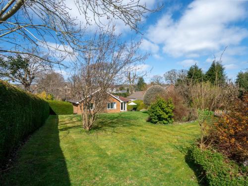 Trederwen - image 2