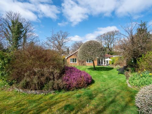 Trederwen - image 7