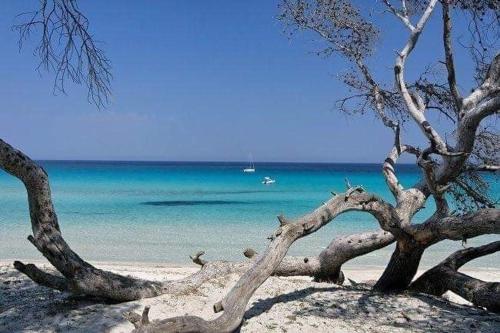 Coin tranquille a 2km de Saint-Florent in Oletta