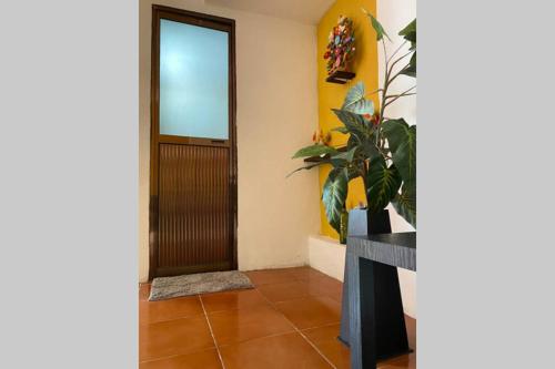 Loft Entero Don Porfirio en el Magico Tlayacapan