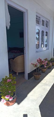 Entrance, B&B Homestay in Hillside