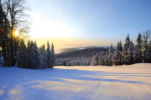 "PENZION NA BUKOVÉ HOŘE" - apartmánový dům, Horský resort Buková hora