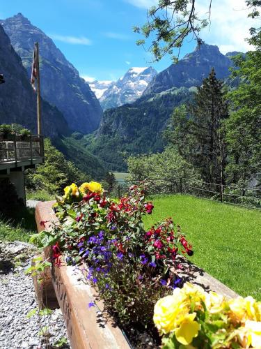 Berggasthaus Obbort - image 12