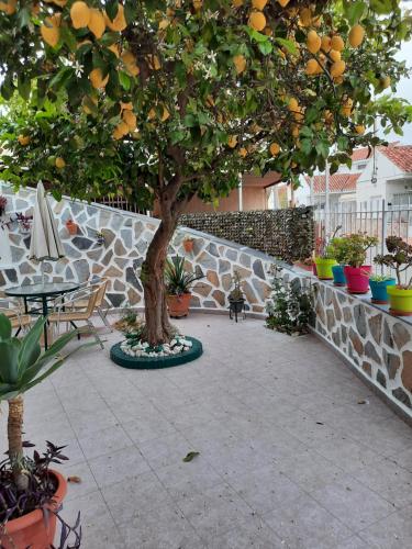  Calle Dr Fleming 3 bedroom home in San Javier