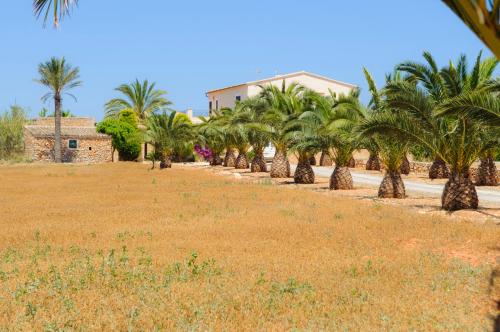 Villa Hort Can Veritat - main image