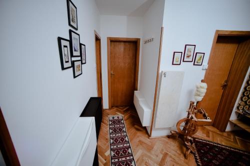 Apartment Suncana dolina in เยเซโร