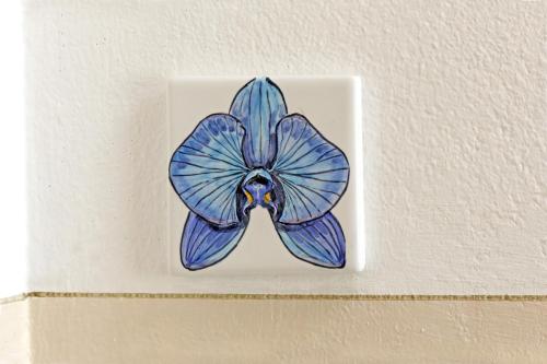Flower Apartments Room Type - One-Bedroom Apartment Flower Apartments Room Type - One-Bedroom Apartment