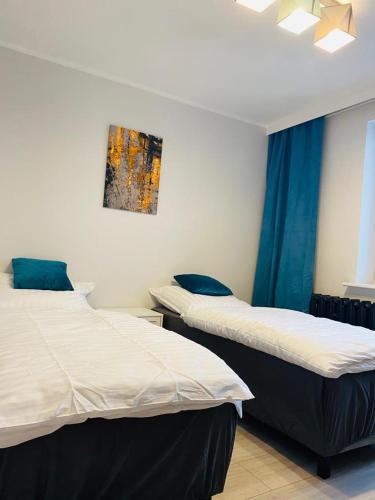 Apartament Teligi