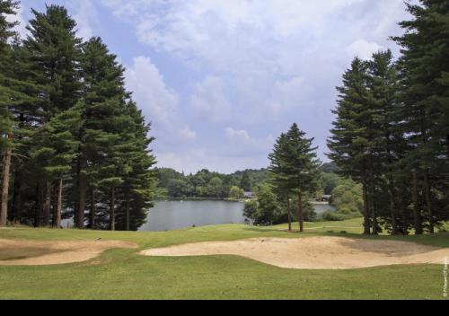 Hôtel Helgon - Lourdes Pyrénées - image 5