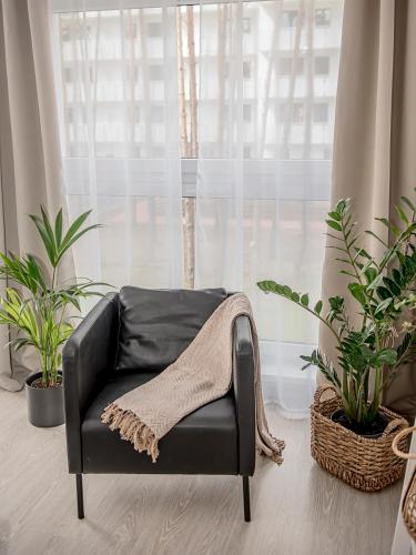 Apartamenty Rejtana