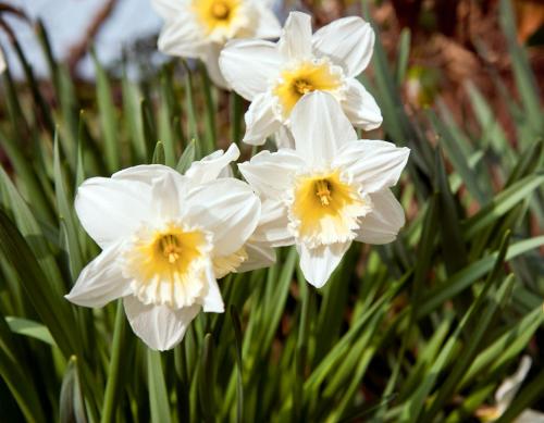Tros Yr Afon Holiday Cottages and Manor House