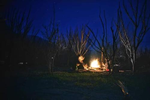 Cradle at Gazan, Organic Farm stay in Manali