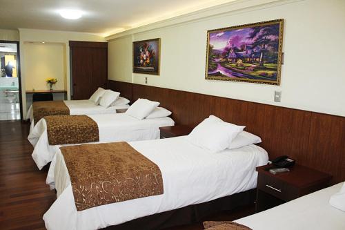 Kamar Mandi, Hotel Newen in Temuco