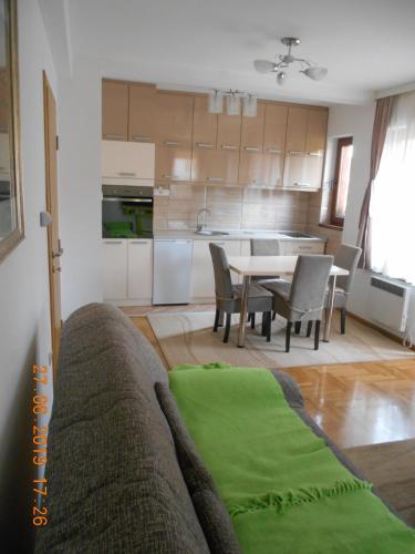 One-Bedroom Apartment image 10