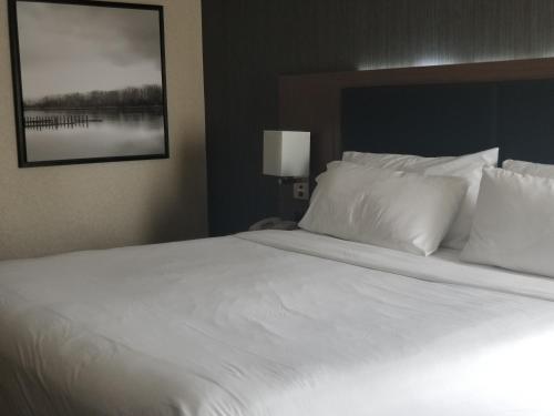 Holiday Inn Express Edmonton Downtown By IHG - image 5