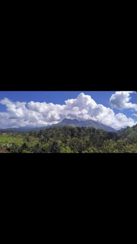 Wayanad windows