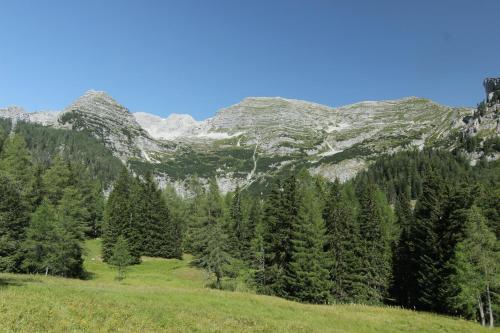 Pension Stoder - image 14