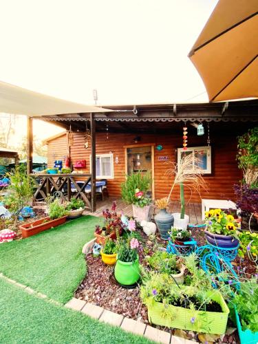 Libi Bamidbar, Healing & Relaxation Resort in The Dead Sea Libi Bamidbar, Healing & Relaxation Resort in The Dead Sea