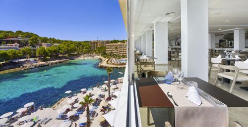 Globales Cala Viñas Adults Only 16+ - 편의 시설/서비스