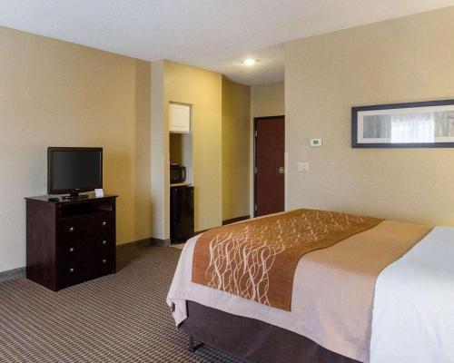 Comfort Inn & Suites Burnet