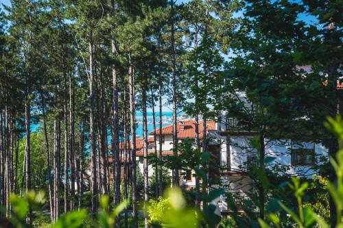 295206317 Viva Mare Beach Hotel by Santa Marina