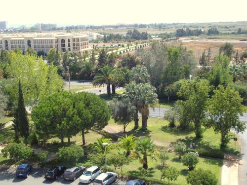 Parque das Amendoeiras - image 9