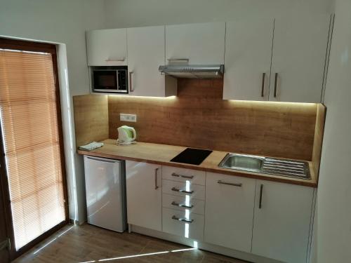 virtuve, Apartmány 62 (Apartmany 62) in Novi Prerova