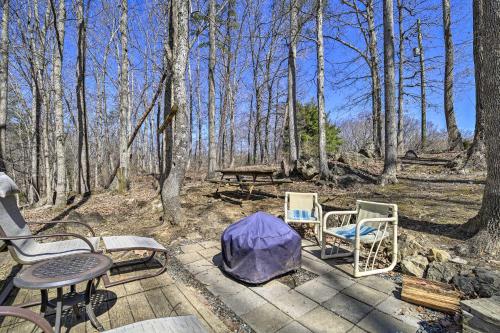 Pet-Friendly Cabin with Dock on Claytor Lake!