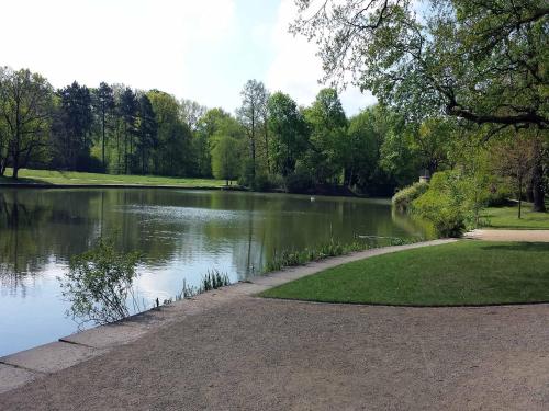 FeWo II - VI Altstadt - Am grossen Garten - image 7