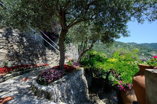 Villa Oliver with a Breathtaking Maxi Jacuzzi on the Rocks - Amalfi Coast