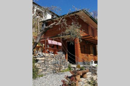 La Casetta di Molly tra ulivi e roseto - Paraggi
