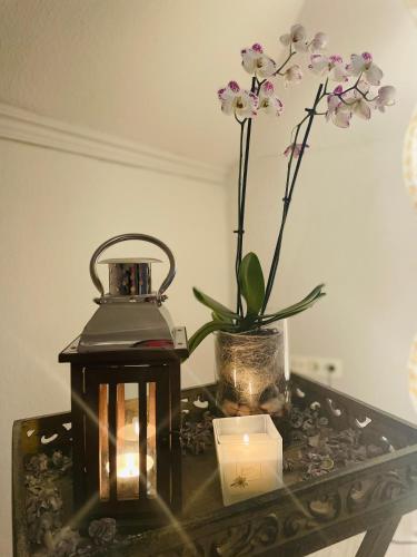 Orchidee, Niebüll (fotografie 10)