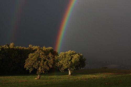 Agriturismo La Corte Sul Lago