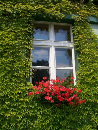 Hotel Frankfurt-Oder Zur Alten Oder - image 3