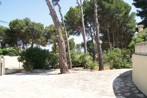 Villa Efaistos - image 8