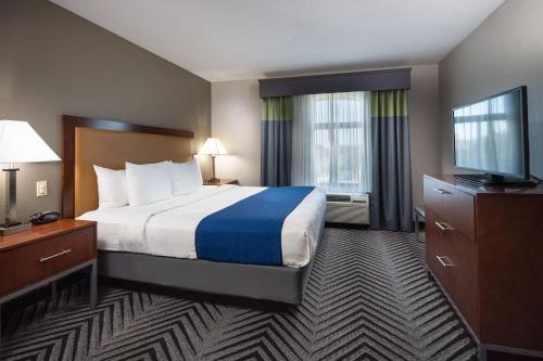 King Room with Mobility Accessible Roll-In Shower - Non-Smoking
