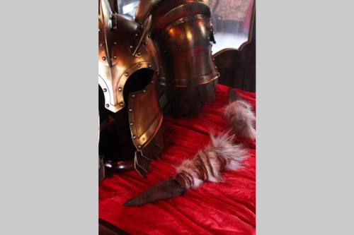 Logement unique inspire de Game of thrones au coeur de Colmar