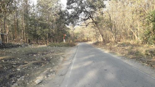 CORBETT FOREST RETREAT CAMP, Near lemon Tree, Labua, Ranikhet Road,Mohaan, Jim Corbett National Park