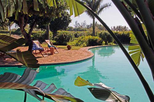 Ancha's Oasis - image 3