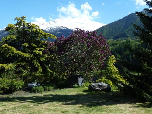 Matapouri, Le Châble (foto 10)