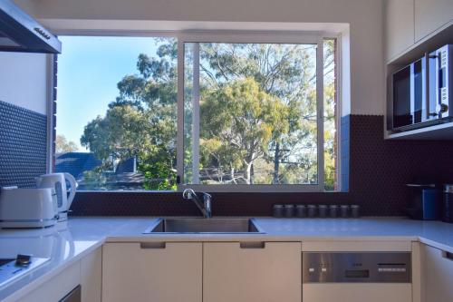 Sun-Drenched 1 Bed Studio Apartment In Newtown in Newtown