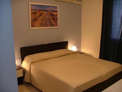 B&B Hibiscus - image 9