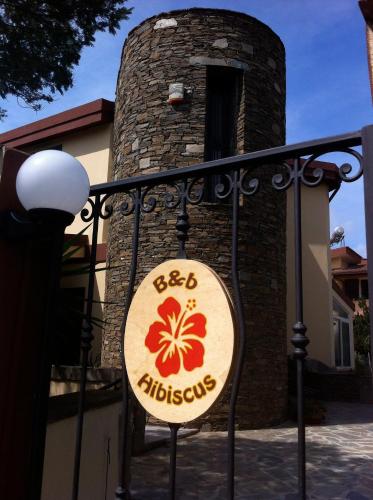 B&B Hibiscus - image 13