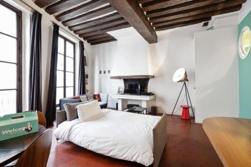 Parisian flat wterrace in Saint Michel-Notre Dame - image 7