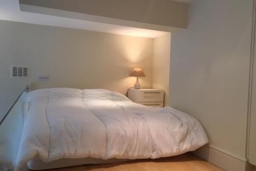 Modern 1 bed Flat in Knightsbridge - image 8