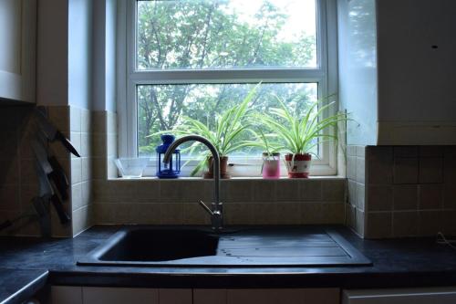 Cosy 1 Bed Flat In Homerton By Victoria Park! - main image