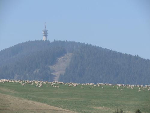 Penzion Ustie - image 9