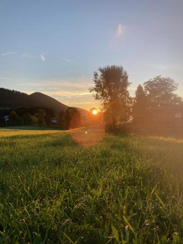 Haslehnerhof, Ramsau am Dachstein (fotografie 4)