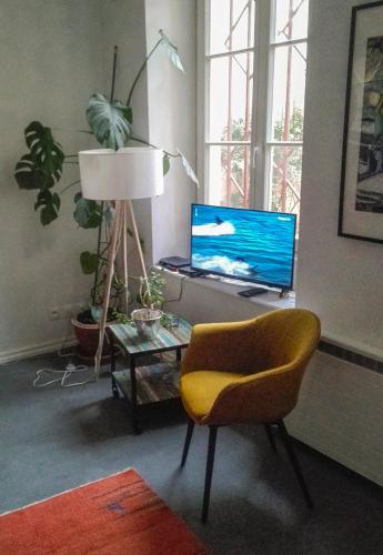 Appartement Petite France avec terrasse, Strasbourg (photo 3)