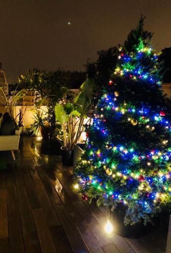 BEAUTIFUL PLACE WITH BREATHTAKING PRIVATE ROOFTOP TERRACE 210m2 IN CITY OF LOVE PARIS, Paříž (fotografie 10)